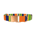 Striped Dog Collar - metal rose gold