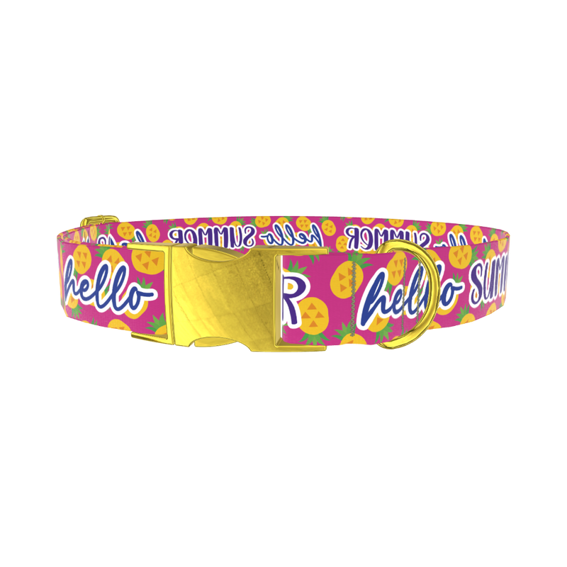 Tropical Summer Dog Collar - metal rose gold