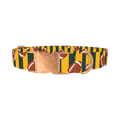 Green Stripe Football Dog Collar - metal rose gold