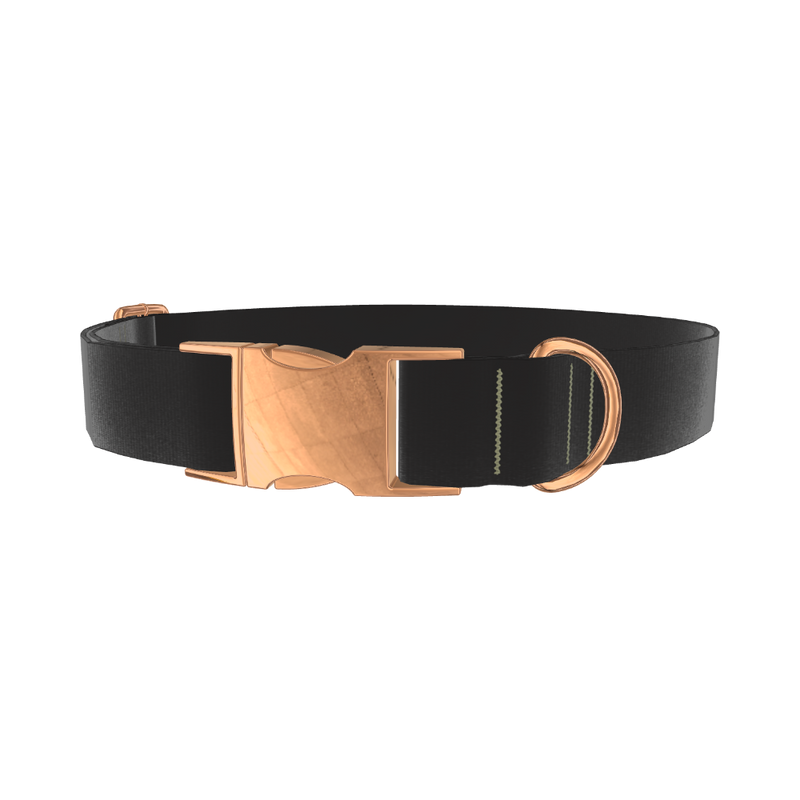 Nero Color Dog Collar - metal gold
