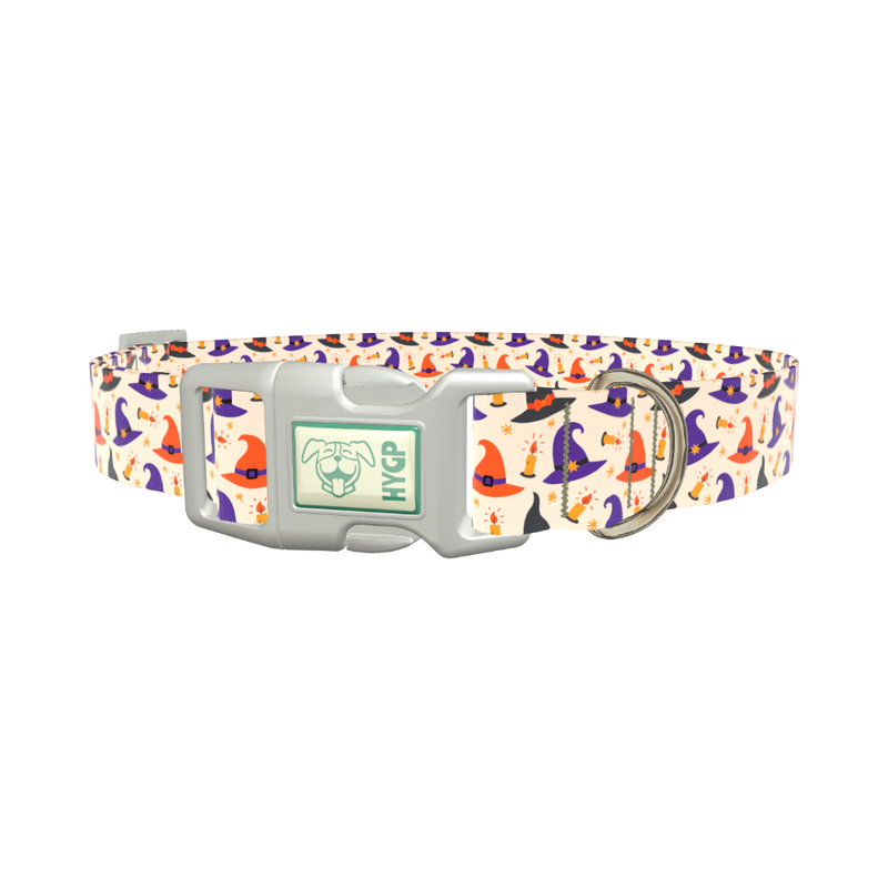 Halloween Witch Hat Dog Collar - plastic rose gold