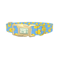 Yellow Duck Dog Collar - plastic gold