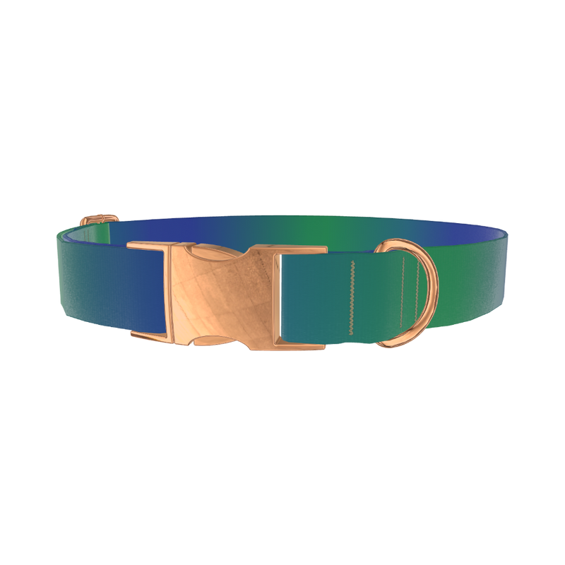 Gradient Blue Dog Collar - metal rose gold