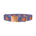 Pumpkin Cross Stitch Dog Collar - metal rose gold