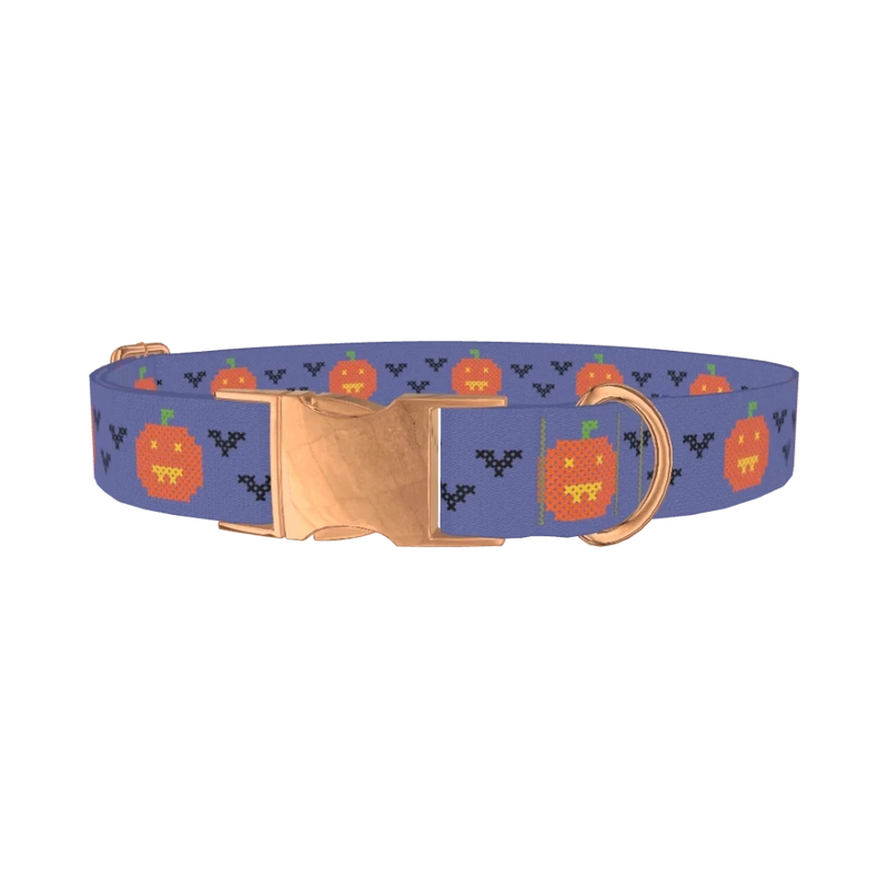 Pumpkin Cross Stitch Dog Collar - metal rose gold
