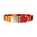 Mexican Red Stripe Dog Collar - metal silver
