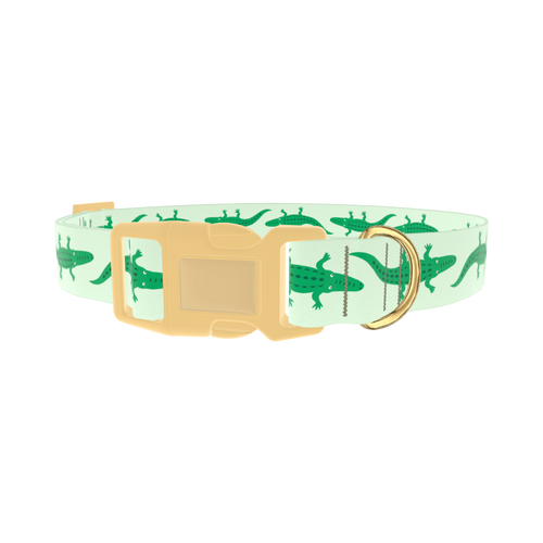 CROCODILES_RE
