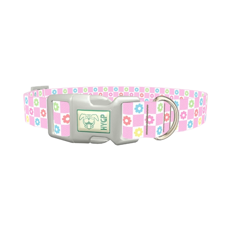 Floral Check Dog Collar - plastic silver