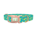 Nautical Dolphin Dog Collar - plastic rose gold