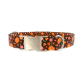 Halloween Candy Pumpkin Dog Collar - metal gold