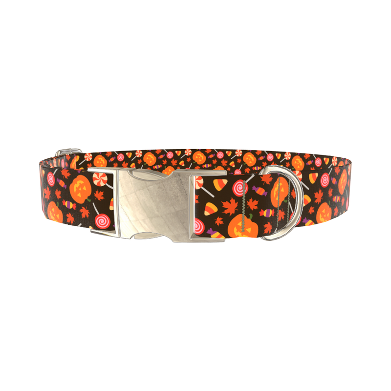 Halloween Candy Pumpkin Dog Collar - metal gold