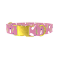 Cowboy Ghost Dog Collar - metal gold