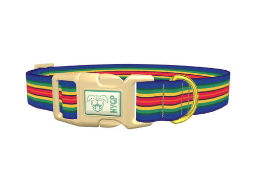 Multicolor Stripe Dog Collar