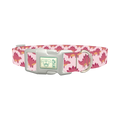 Pink Dinosaur Dog Collar - plastic silver