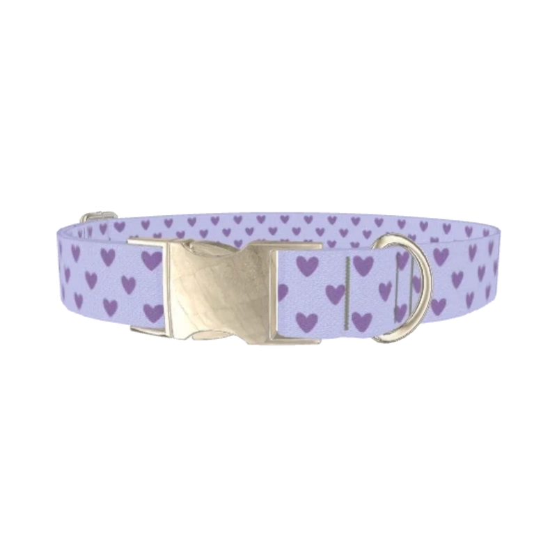 Purple Heart Pattern Dog Collar - metal silver