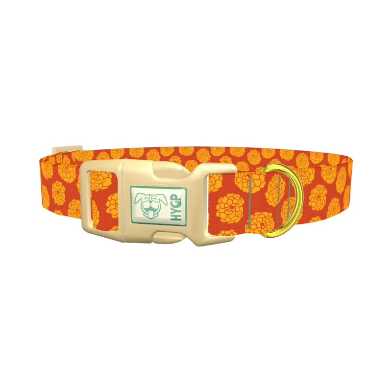 Orange Marigold Pattern Dog Collar - plastic gold