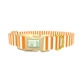 Halloween Stripes Dog Collar - plastic gold