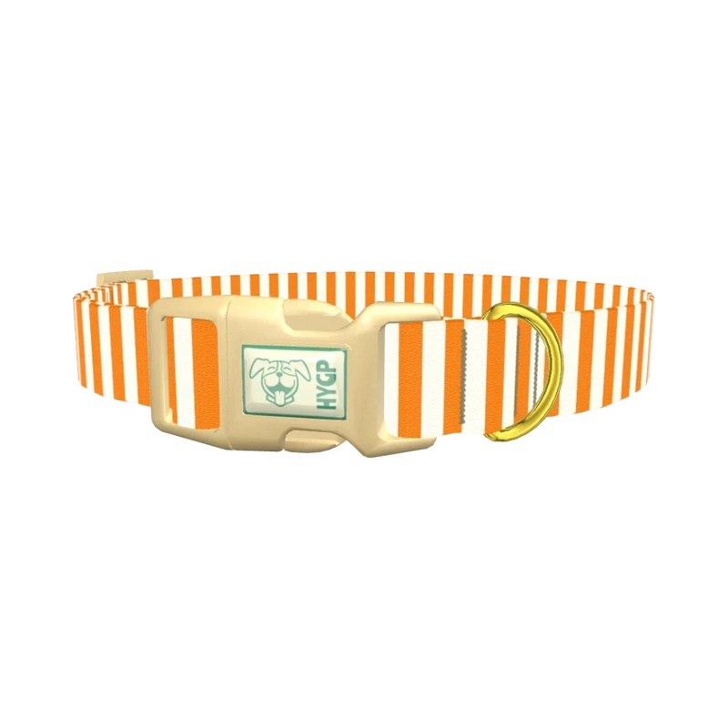 Halloween Stripes Dog Collar - plastic gold