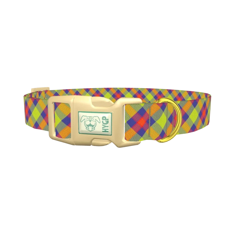 Colorful Plaid Dog Collar - plastic gold