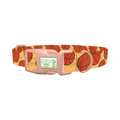 Basketball Sport Dog Collar - plastic rose gold