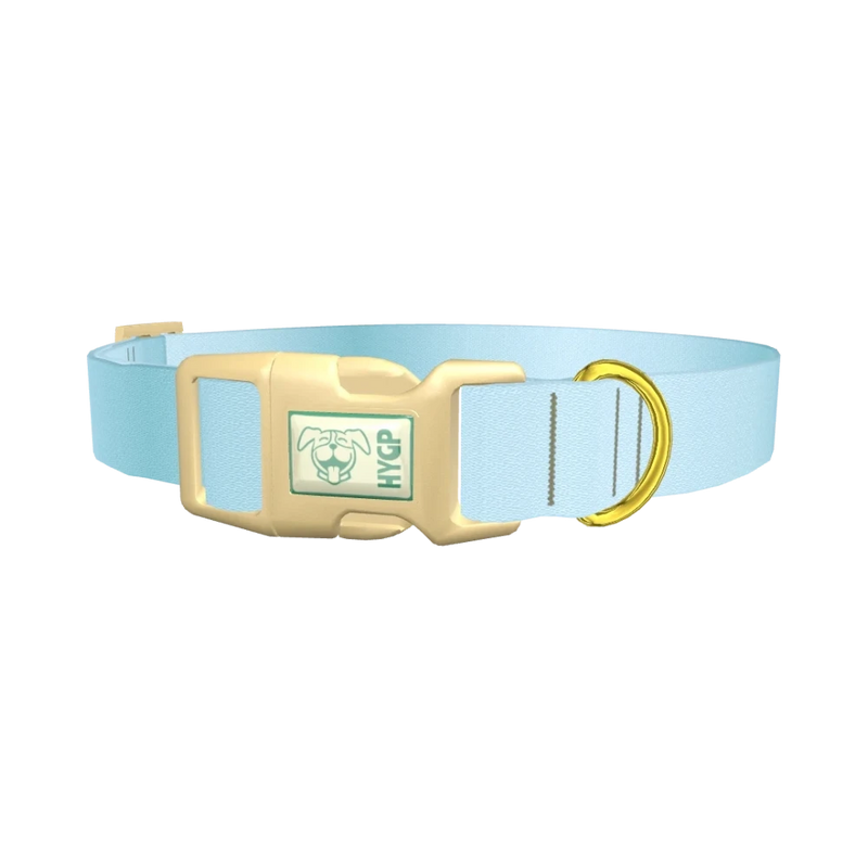 Blue Gradient Dog Collar - plastic gold