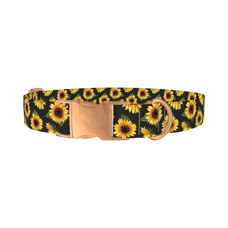 Sunflower Pattern Black Dog Collar - metal rose gold