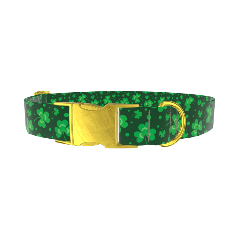 St. Patrick's Clover Dog Collar - metal rose gold