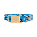 Blue Football Trophy Dog Collar - plastic gold