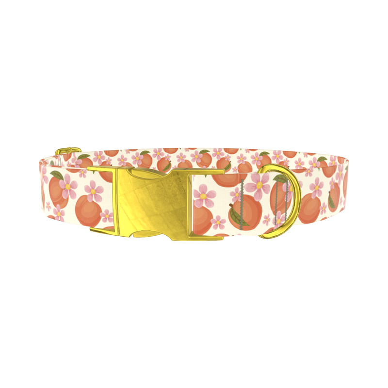Peach Floral Dog Collar - metal gold