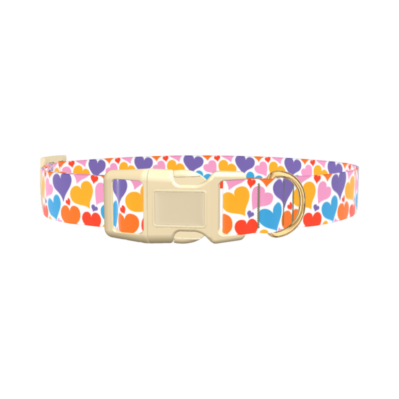 Multicolor Heart Dog Collar - plastic silver