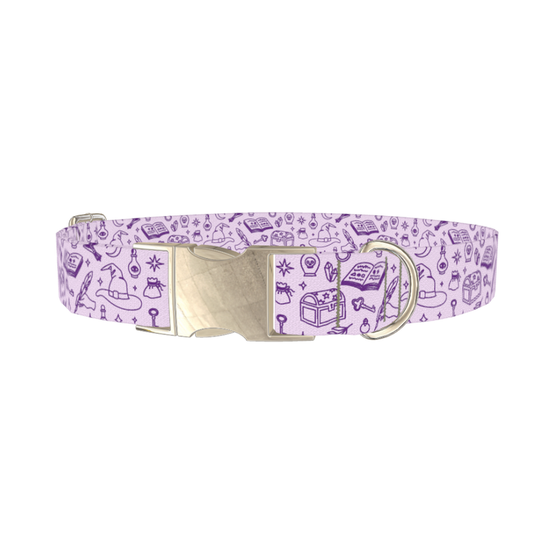 Witchy Magic Elements Dog Collar - metal silver