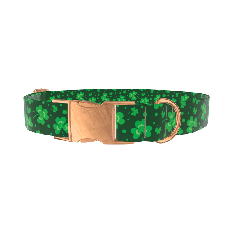 St. Patrick's Clover Dog Collar - metal silver