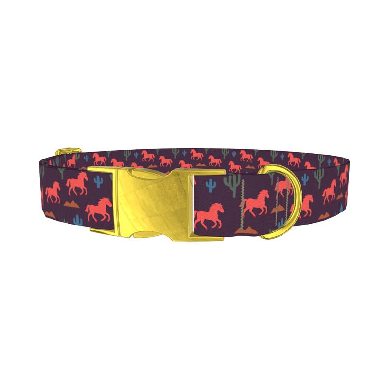 Western Desert Dog Collar - metal gold