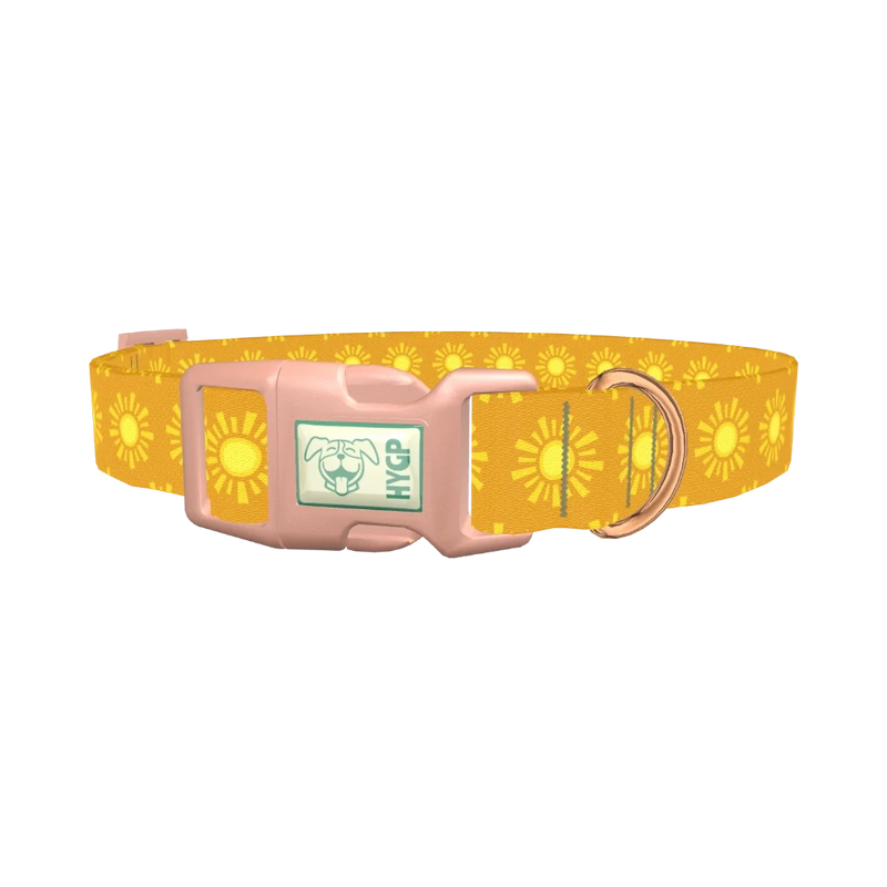 Sunburst Pattern Dog Collar - plastic rose gold