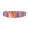 Color Block Stripes Dog Collar - metal rose gold