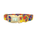 Colorful Paint Splatter Dog Collar - plastic gold