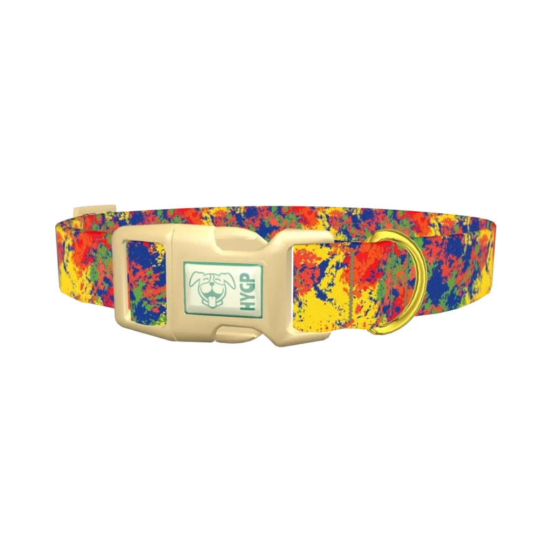 Colorful Paint Splatter Dog Collar - plastic gold