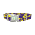 Energetic Lightning Dog Collar - plastic silver