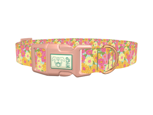 Floral Gerberas Dog Collar