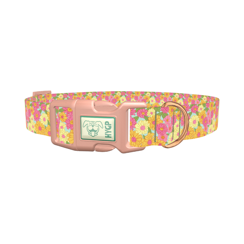 Floral Gerberas Dog Collar - plastic rose gold
