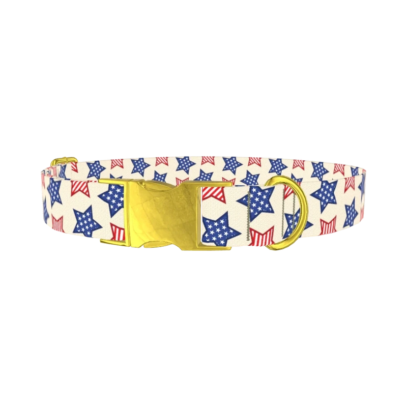 Striped Stars Dog Collar - metal gold