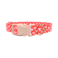 Watercolor Heart Dog Collar - plastic silver