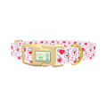 Heart Sunglasses Dog Collar - plastic gold