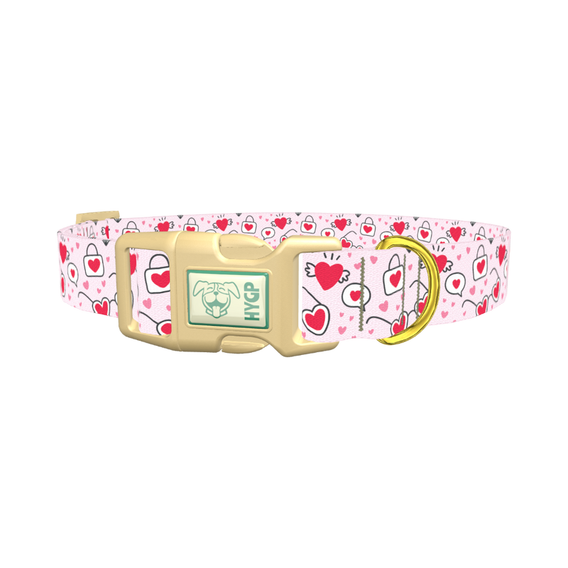 Heart Sunglasses Dog Collar - plastic gold