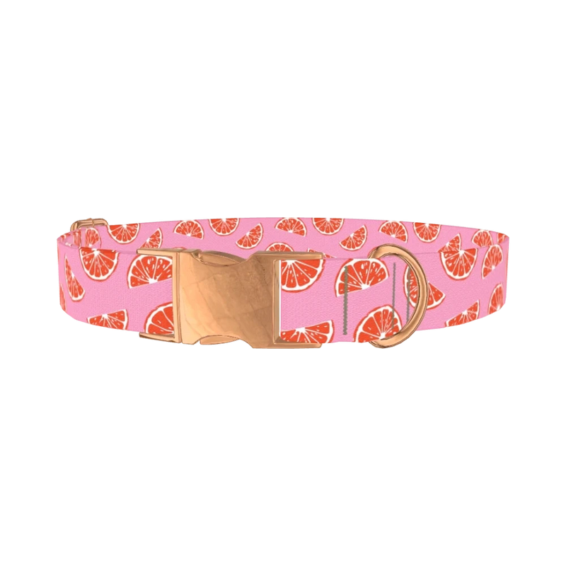 Pink Grapefruit Dog Collar - metal rose gold
