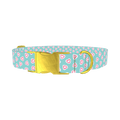 Pastel Valentine Heart Dog Collar - metal gold
