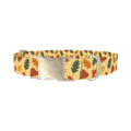 Colorful Autumn Leaf Dog Collar - metal silver