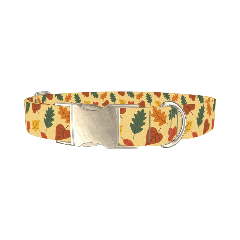 Colorful Autumn Leaf Dog Collar - metal silver