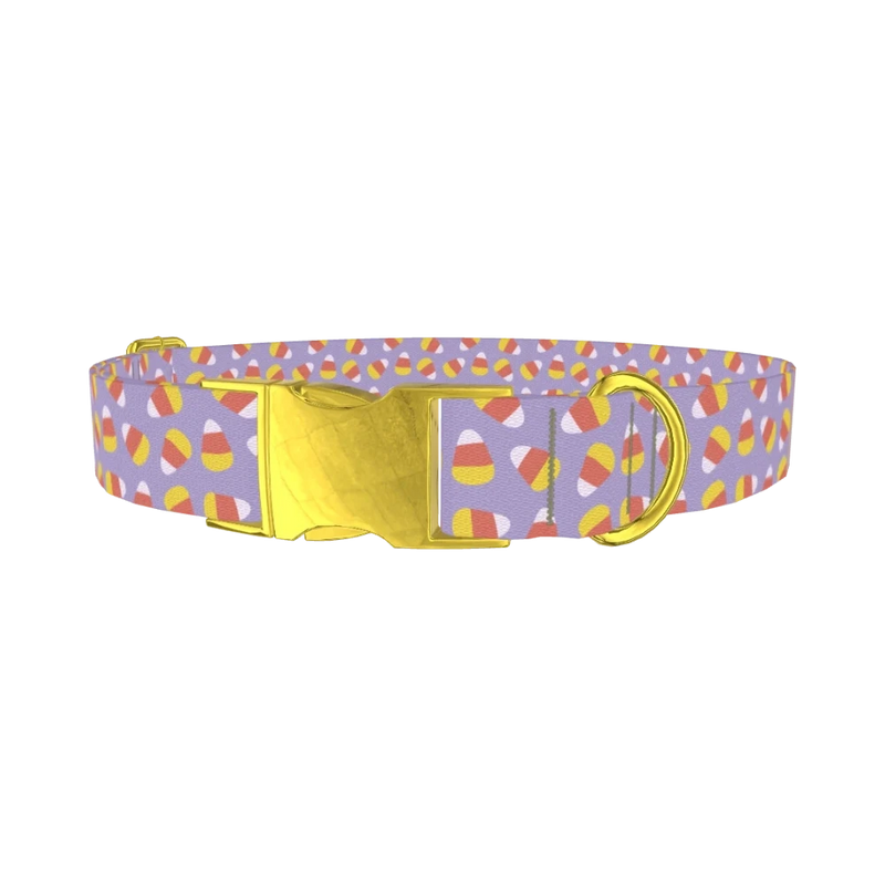 Halloween Candy Dog Collar - metal gold