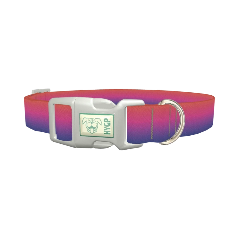 Gradient Pink Blue Dog Collar - plastic silver